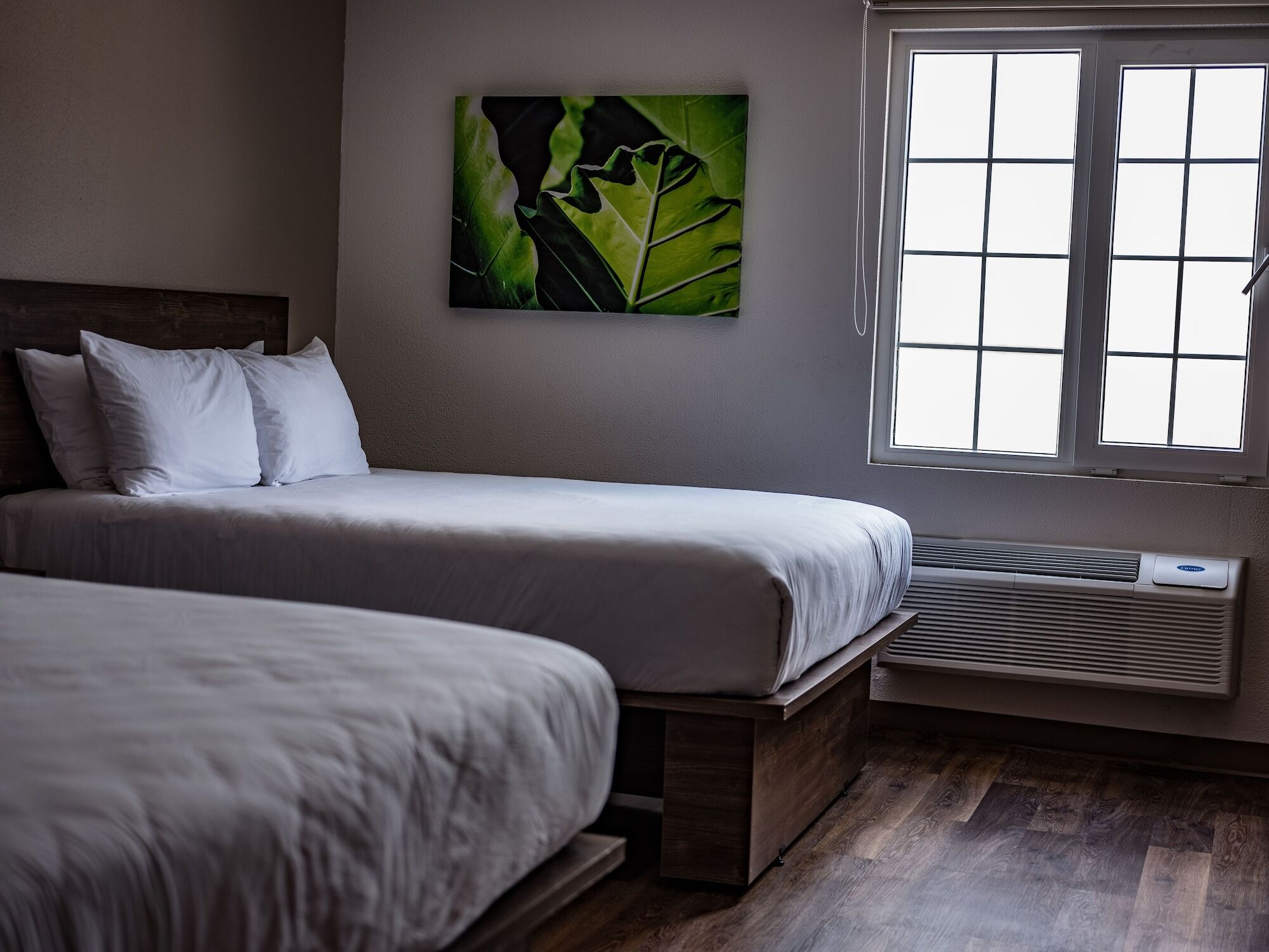 Extended Suites Saltillo Galerias Екстериор снимка